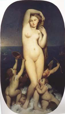 Jean Auguste Dominique Ingres The Birth of Venus (mk04) oil painting image